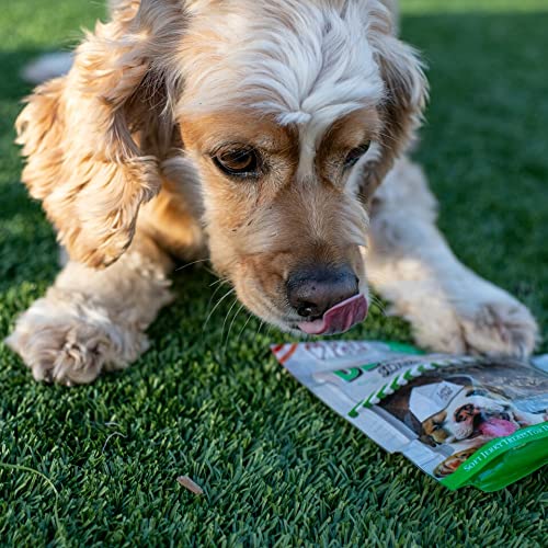 Loving Pets palitos dentales menta fresca en uso para masticación saludable