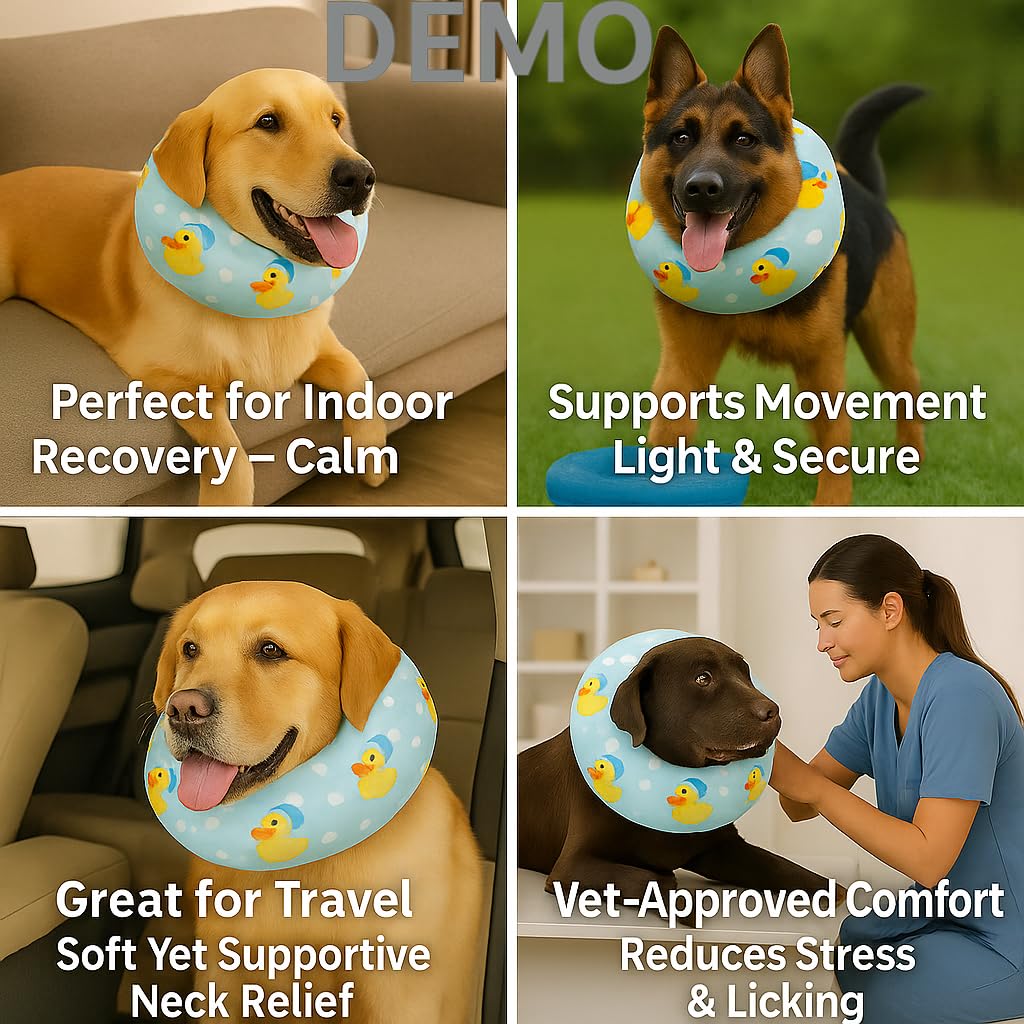 LovinPet collar impresión patos con sombreros, diseño divertido y único.