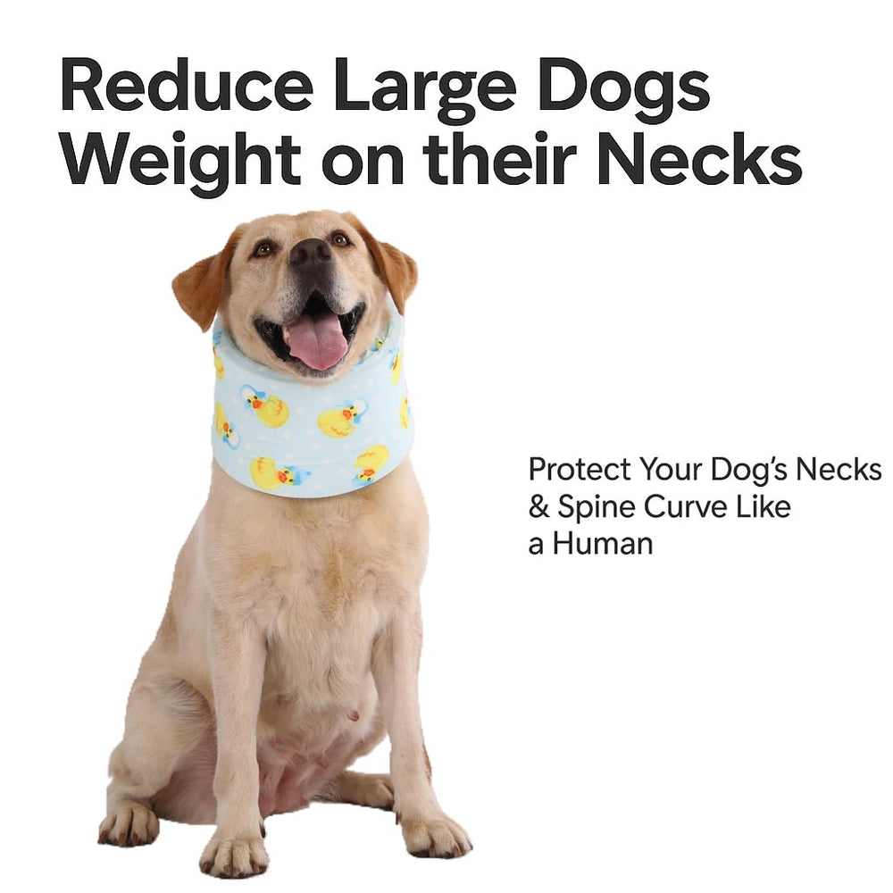 LovinPet collar lavable sin piezas, diseño práctico para uso diario.