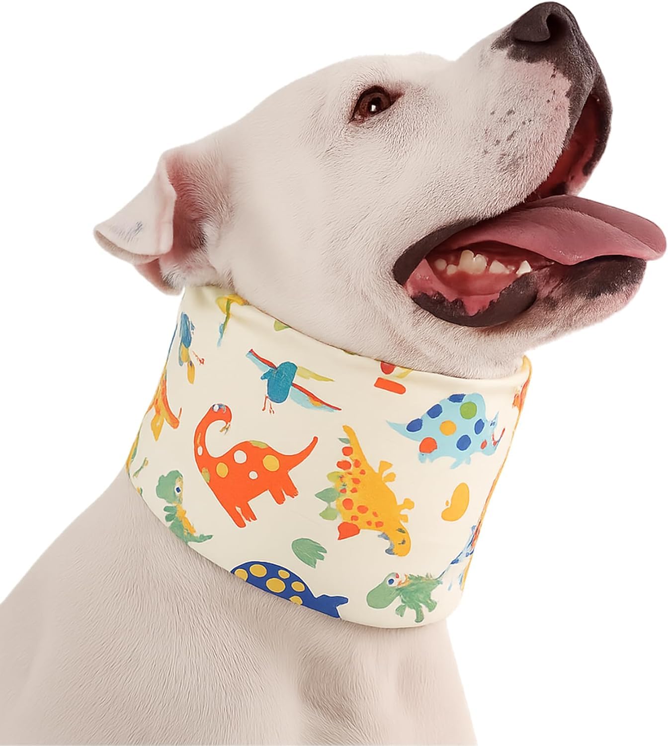LovinPet collar uso diario en casa y exterior – versátil.