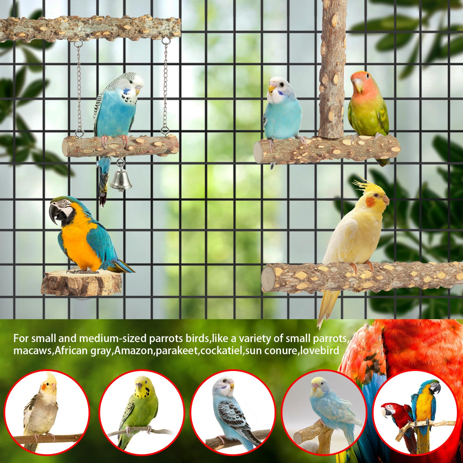 lovyCoCo columpio para aves: estimula movimiento y entretenimiento diario