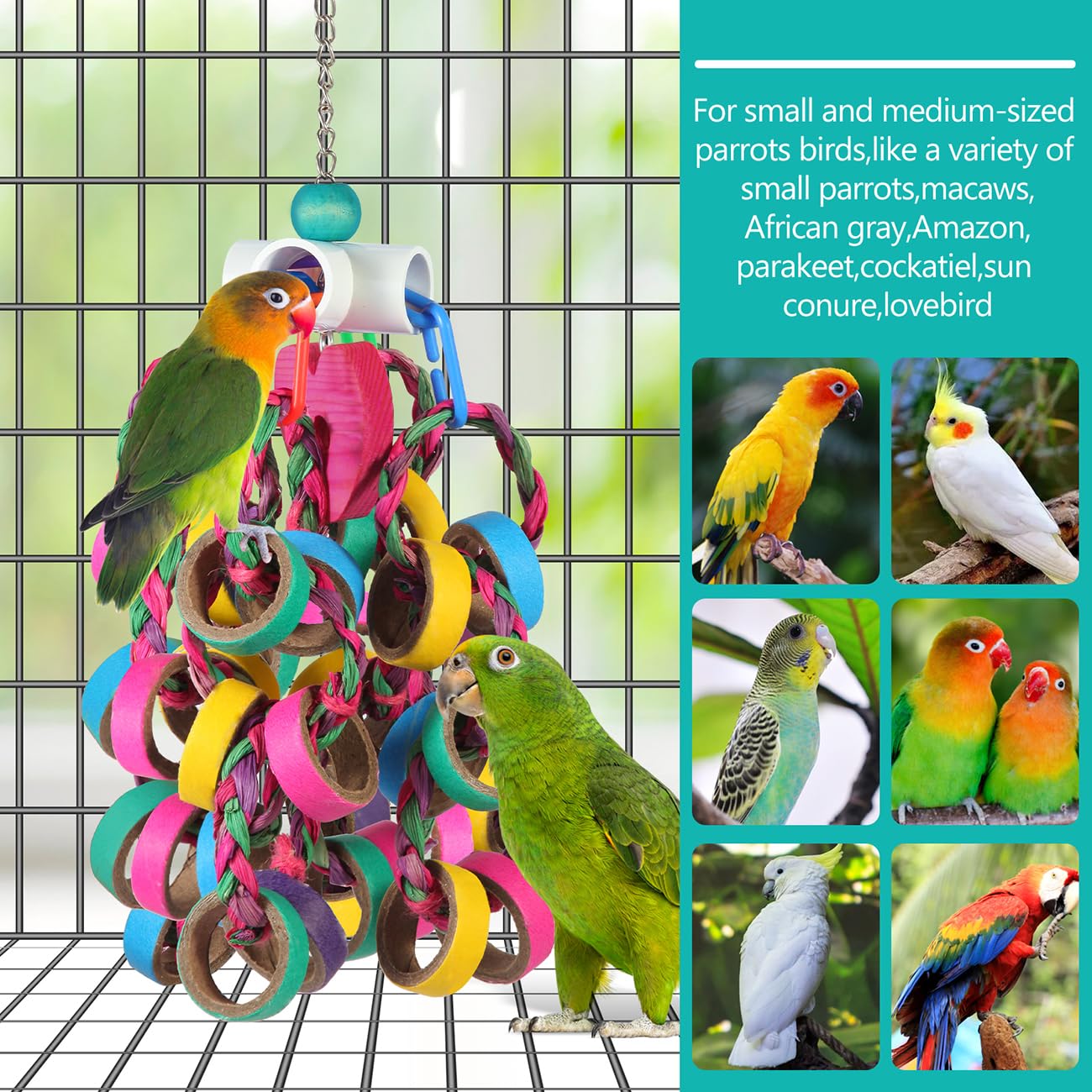 lovyocoCoCo: enriquecimiento para aves que promueve actividad física y curiosidad.