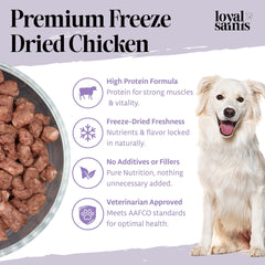 Loyal Saints bol con alimento liofilizado de pollo, sabor real para perros exigentes.