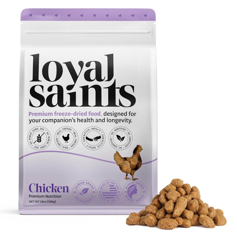 Loyal Saints trozos de pollo liofilizado: proteína alta para perros activos.