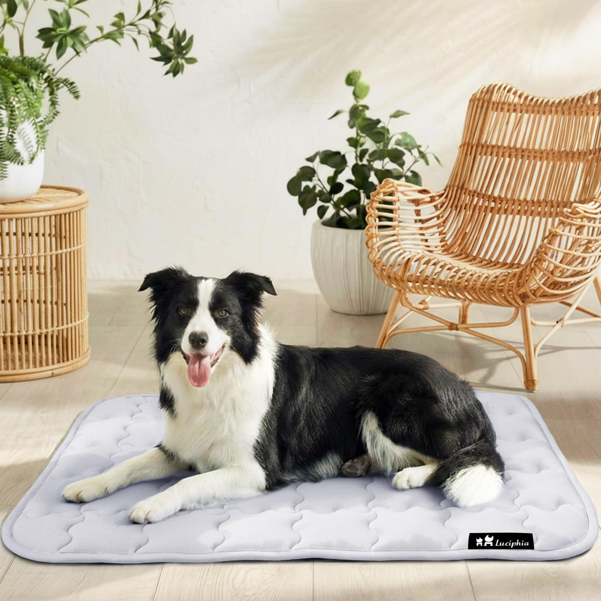 Luciphia almohadilla refrigerante interior para perros, comodidad en casa