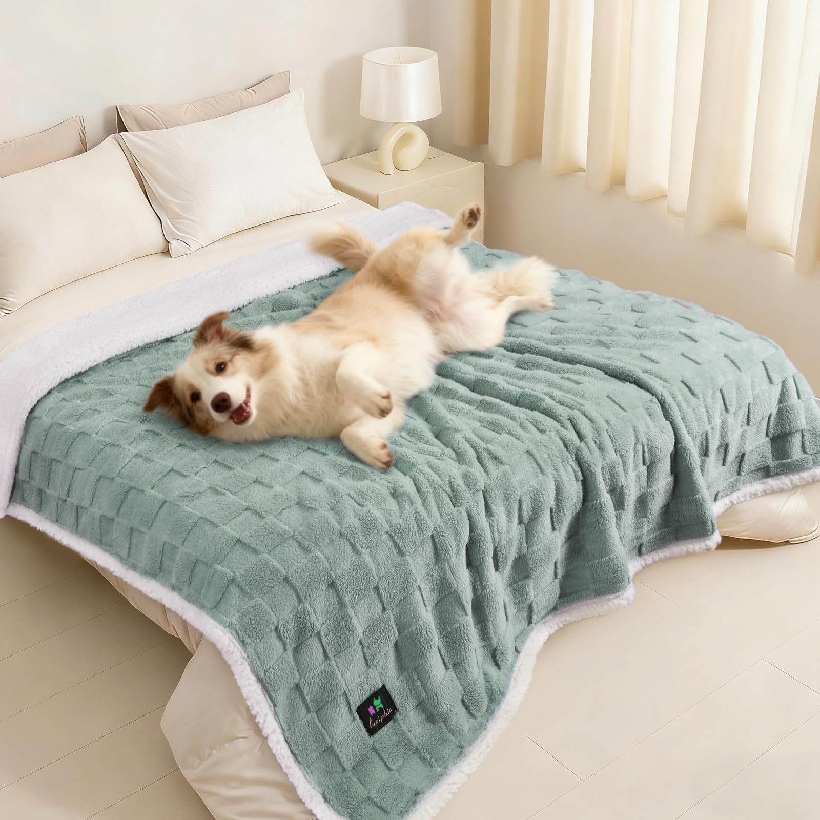 Luciphia cobija impermeable para perros con forro sherpa suave protege el sofá