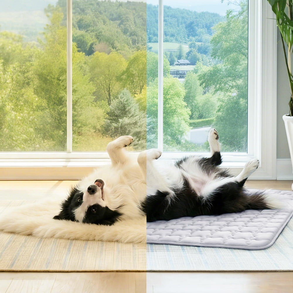 Luciphia costuras soldadas de la funda, mayor durabilidad frente a mordidas.