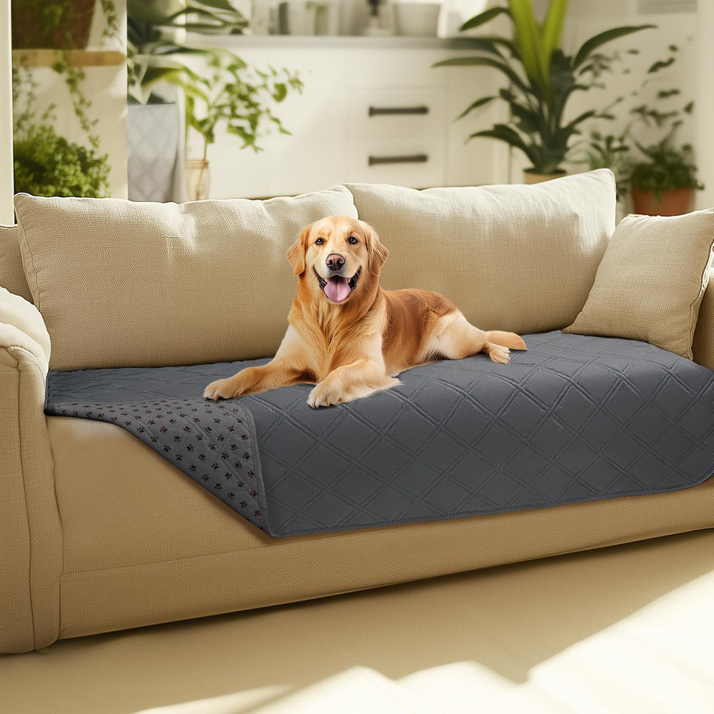 Luciphia funda impermeable para sofá de perros, protege contra accidentes.