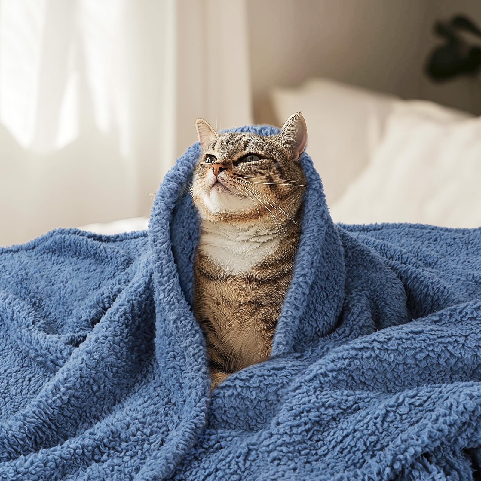 Luciphia manta para gato, suave y acogedora.