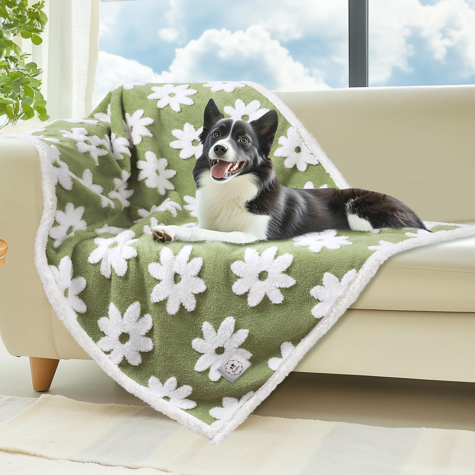 Luciphia manta impermeable para mascotas, protección y comodidad para sofá y cama.