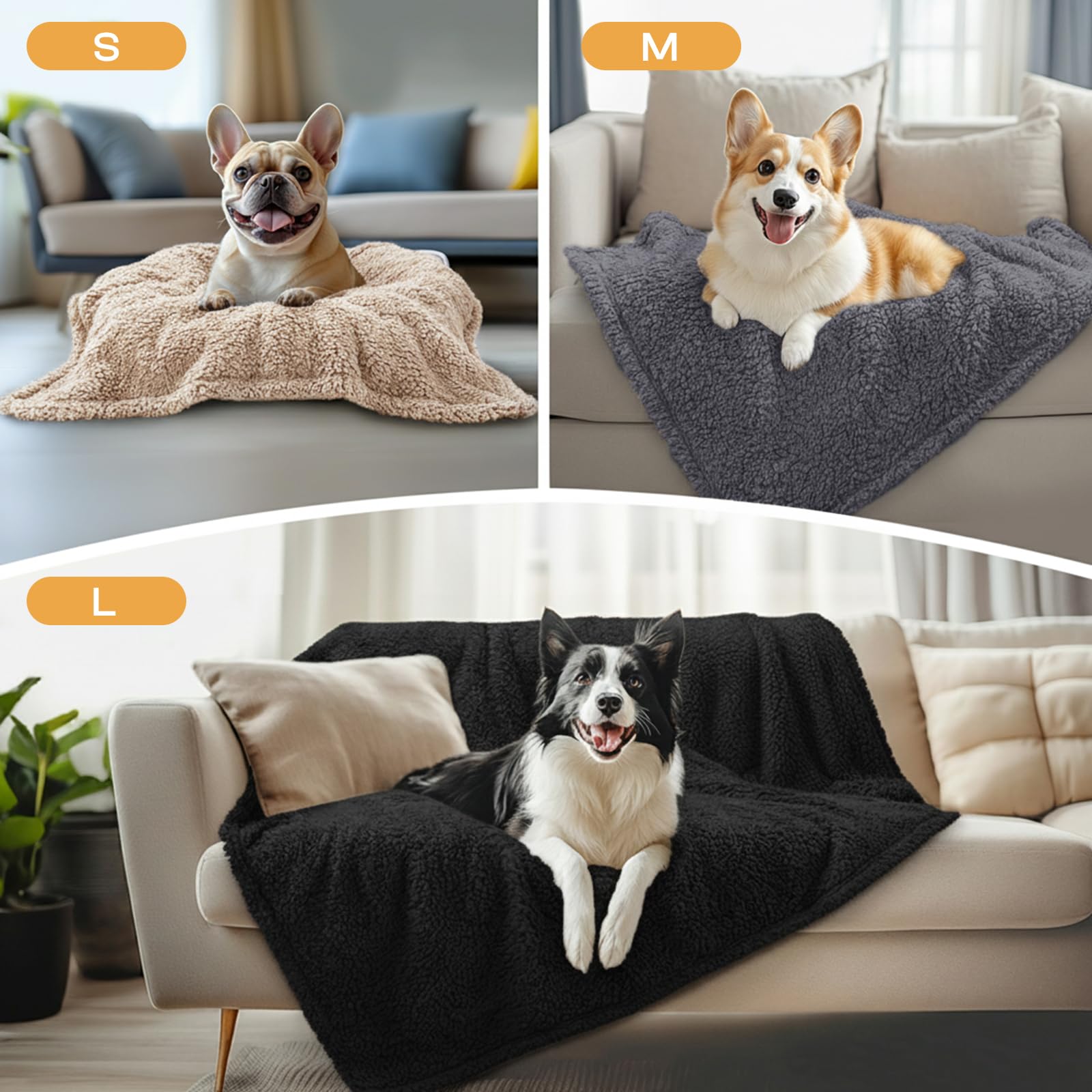 Pack Luciphia de tres tallas, versátil para perros y gatos.