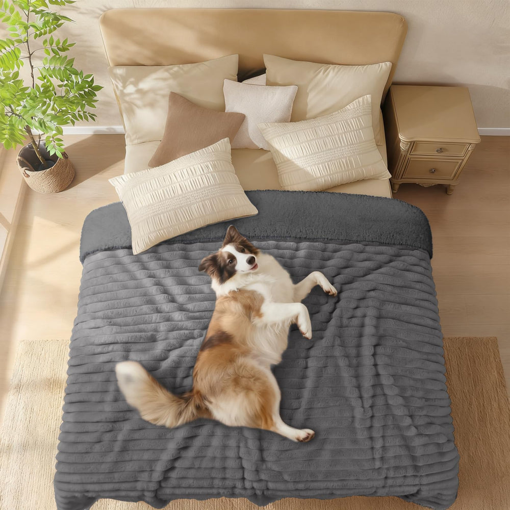 Luciphia manta resistente a arañazos, diseñada para perros activos.