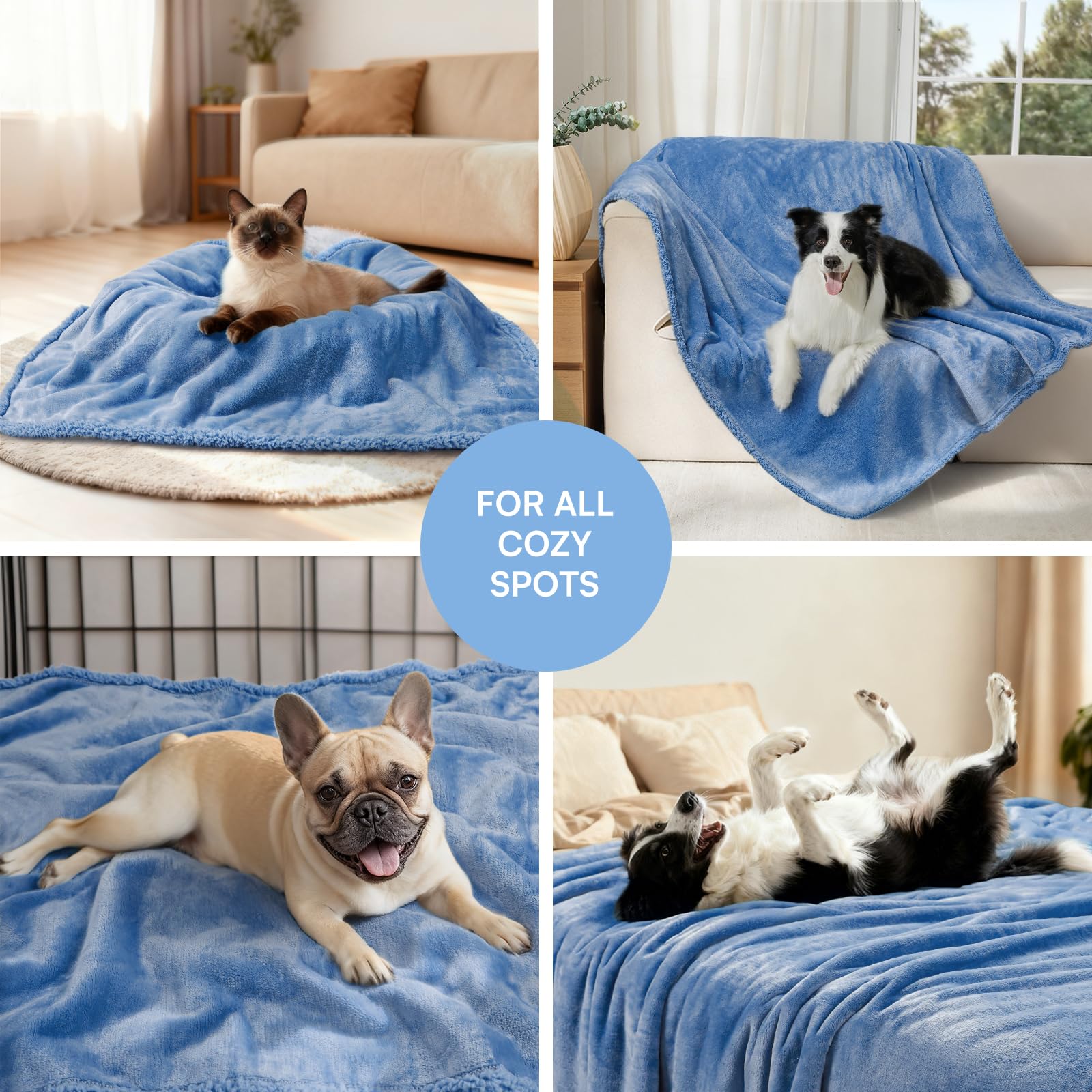 Luciphia manta disponible en tallas para perros y gatos pequeños, medianos y grandes