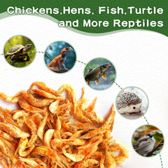 LuckyQworms: acuario y peces con camarones del río secos, snack nutritivo y práctico.