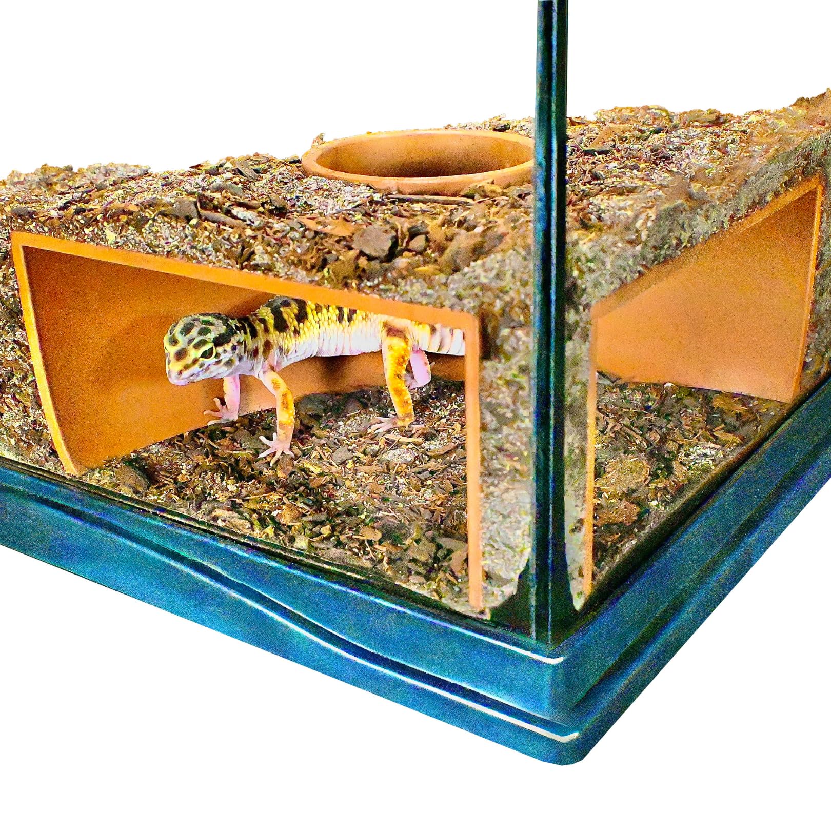 Lucky Critter cueva de esquina frontal para observar reptiles con claridad.