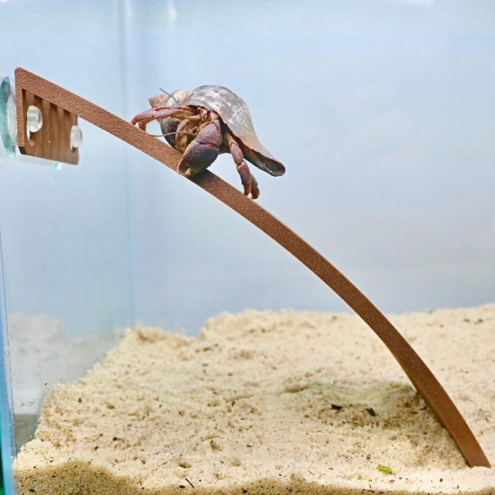 Lucky Critter uso-en-acuario: enriquece el entorno y fomenta la exploración.