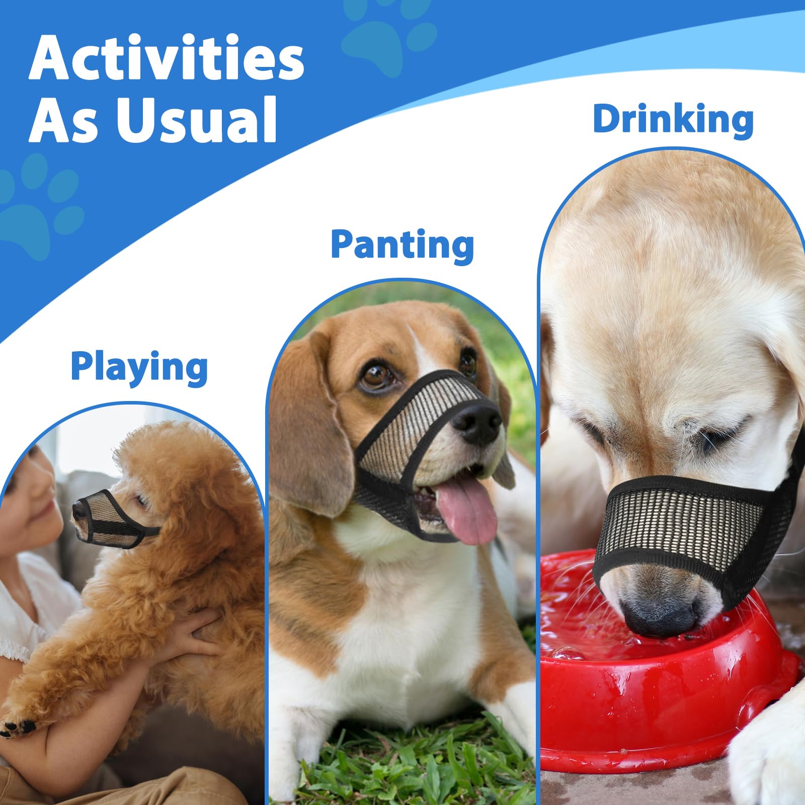 LUCKYPAW bozal para paseos y entrenamiento tempranos.