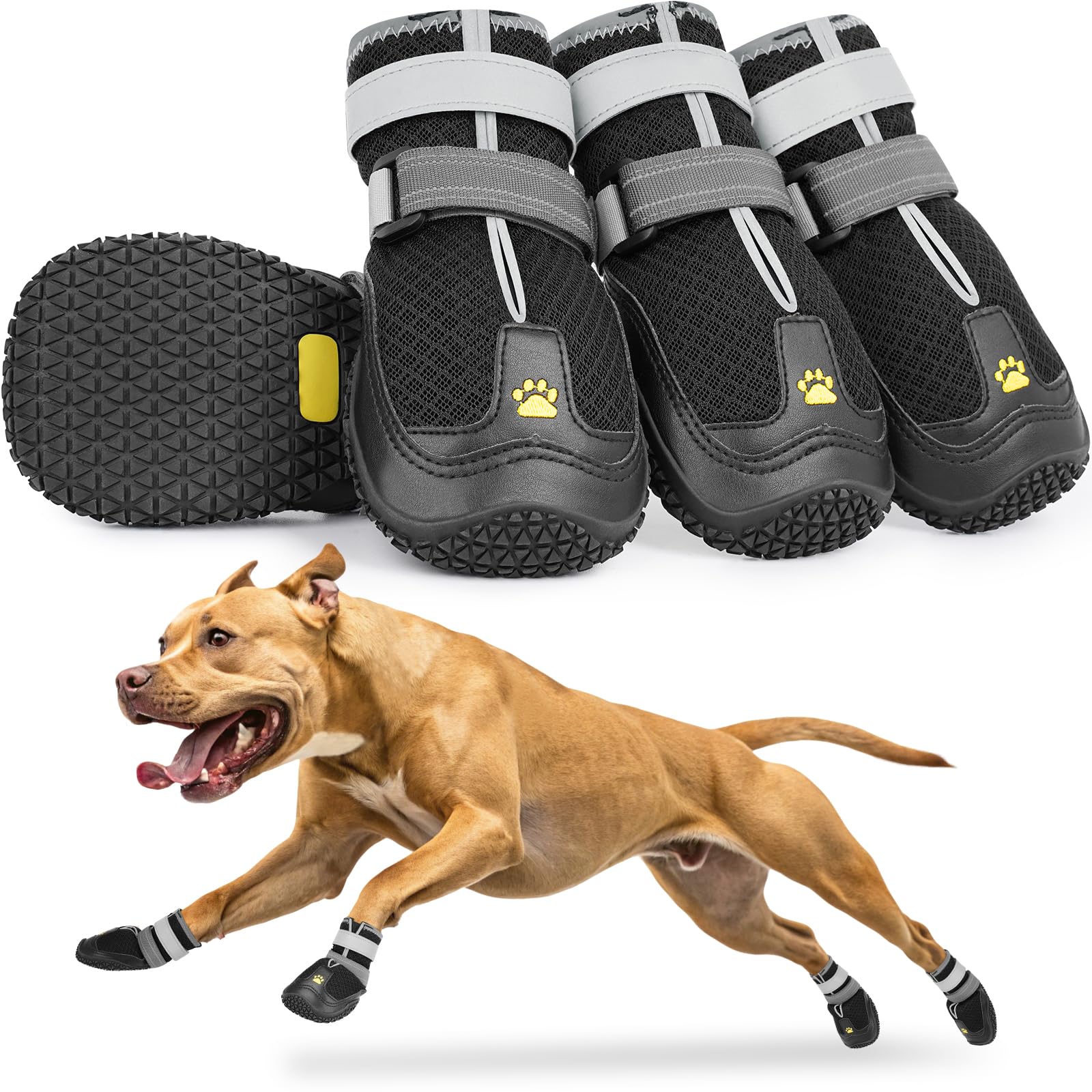 Los zapatos LUCKYPAW para perros muestran la guía de medición para un ajuste preciso.