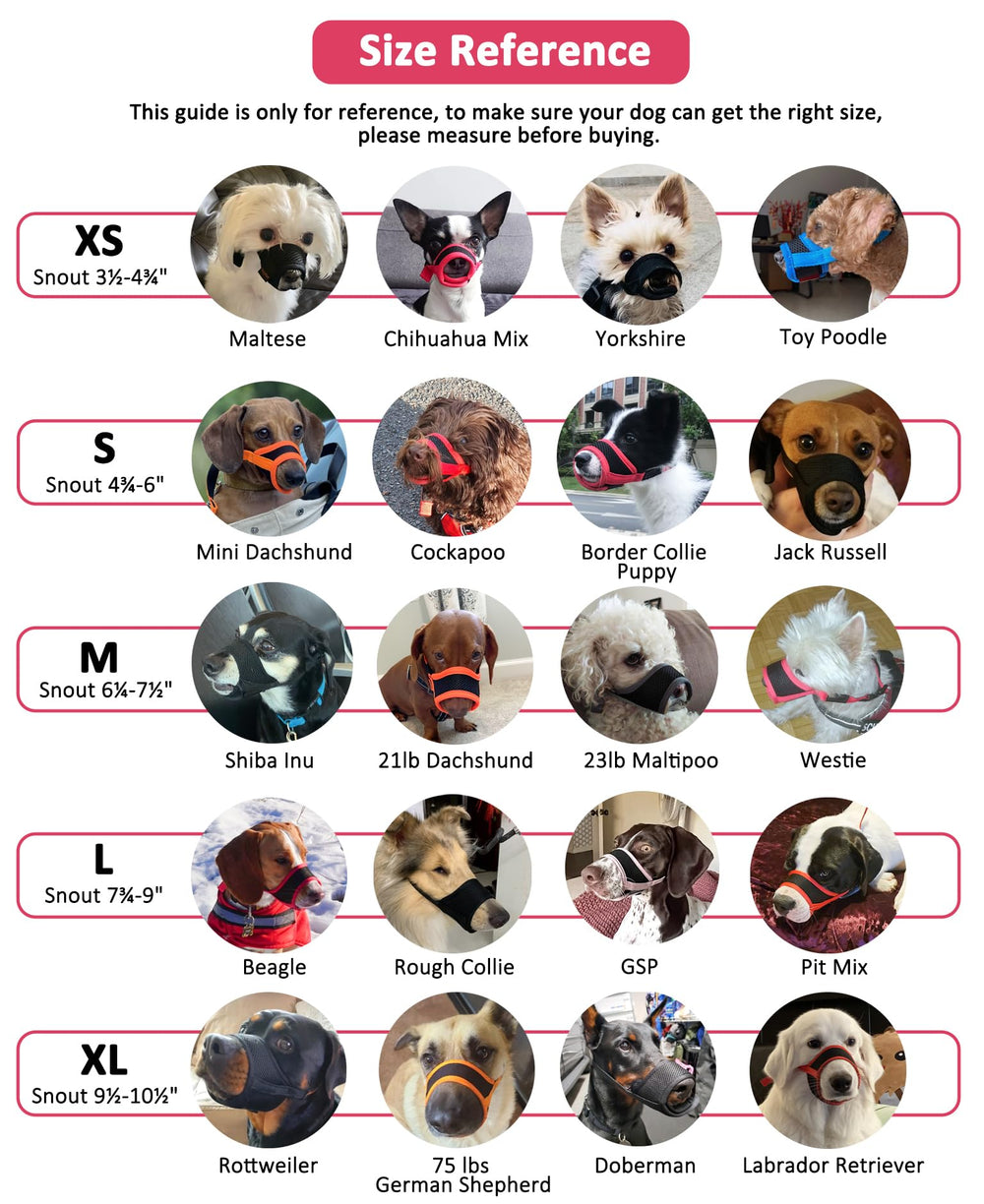 LUCKYPAW mordaza para perro, facilita entrenamiento y manejo de comportamientos, guía paso a paso.