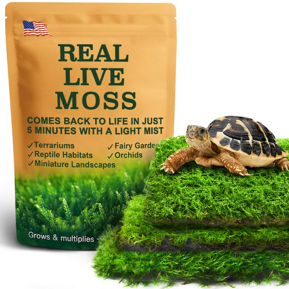 LUCKYRUNES musgo vivo triple pack para terrarios, humedad estable.