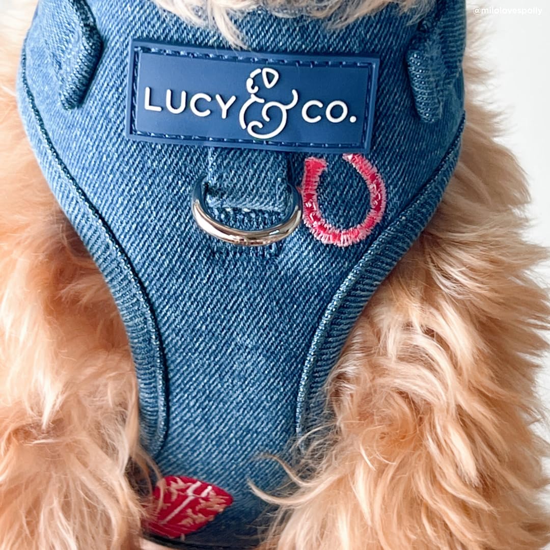 Arnés Lucy & Co tejido vaquero talla XS para razas pequeñas.
