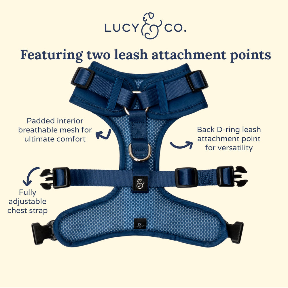 Lucy & Co. arnés No-Tira color azul marino, estilo y funcionalidad en días fríos.