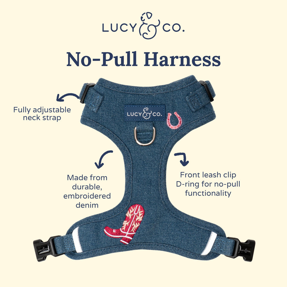 Lucy & Co. talla grande ideal para razas grandes.