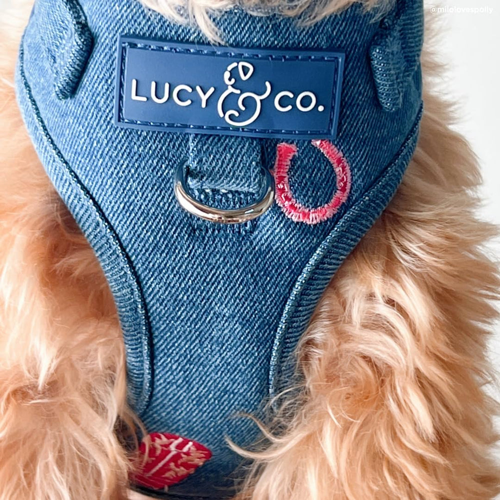 Lucy & Co. uso en días fríos como prenda adicional.