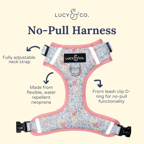 Lucy y Co. Ditsy Daydream: ajuste práctico en talla XS para ajuste personalizado.