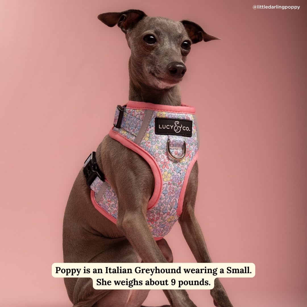Lucy & Co. Ditsy Daydream tela resistente, ideal para uso diario.