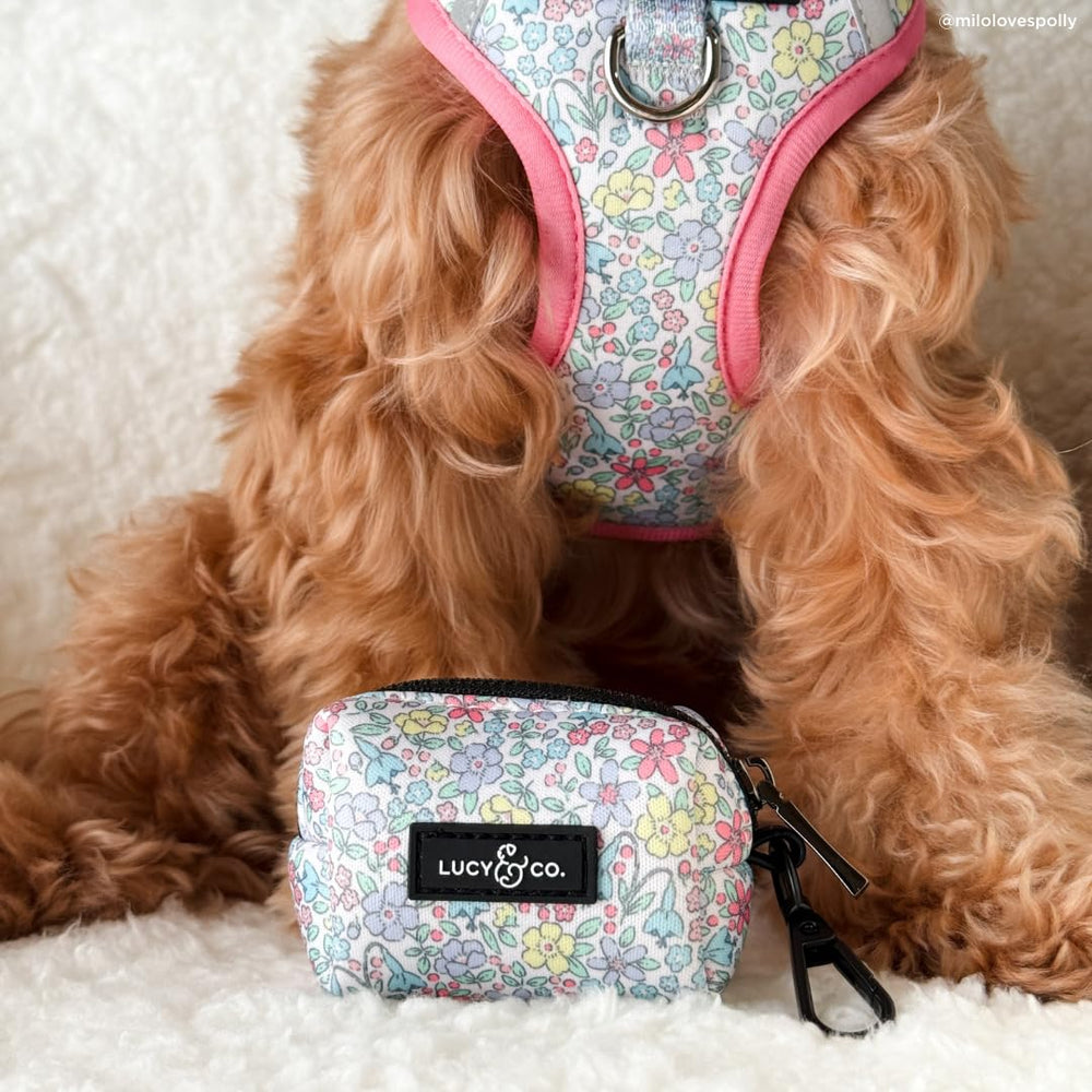 Lucy & Co. Ditsy Daydream uso diario con buena respirabilidad para perros medianos.
