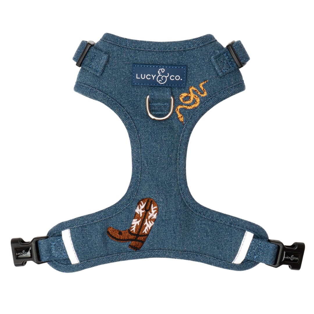 Lucy & Co. Giddy Up arnés sin tirones – frente: control práctico en caminatas.