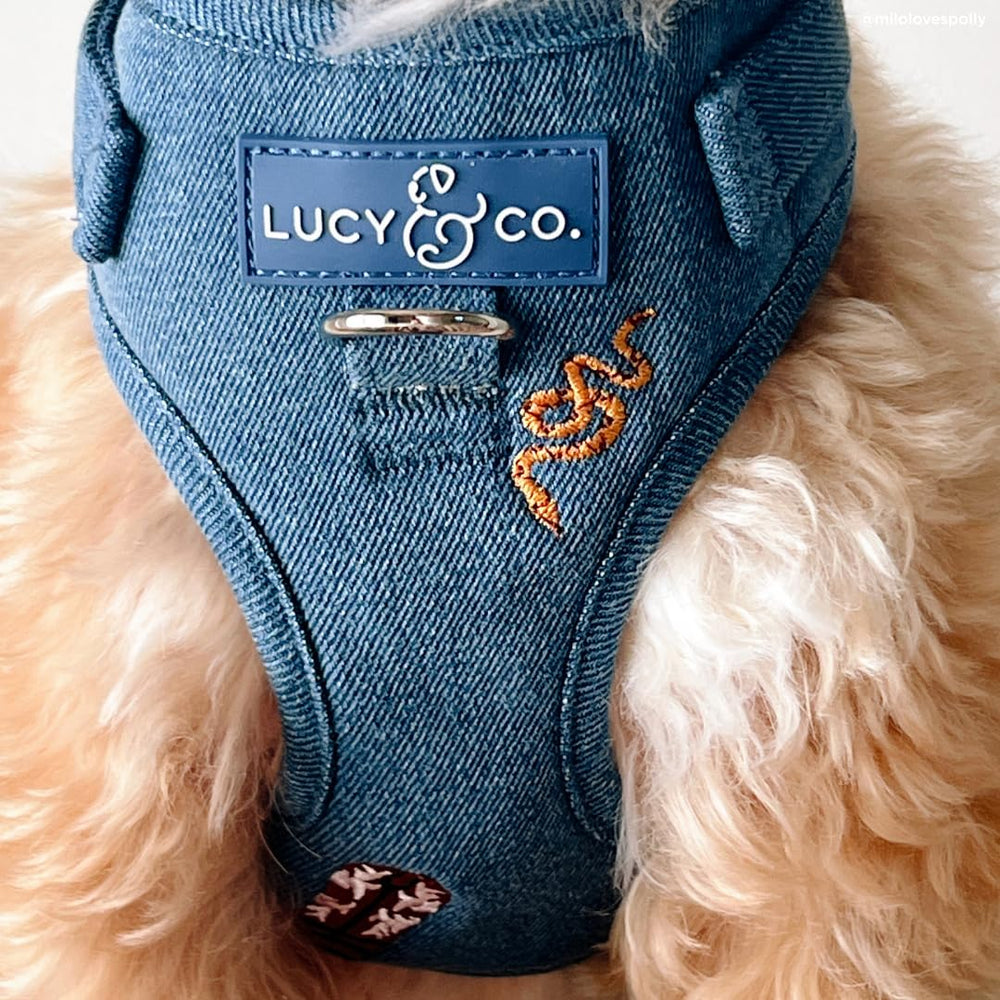 Lucy & Co. Giddy Up – diseño vaquero azul para estilo y comodidad.