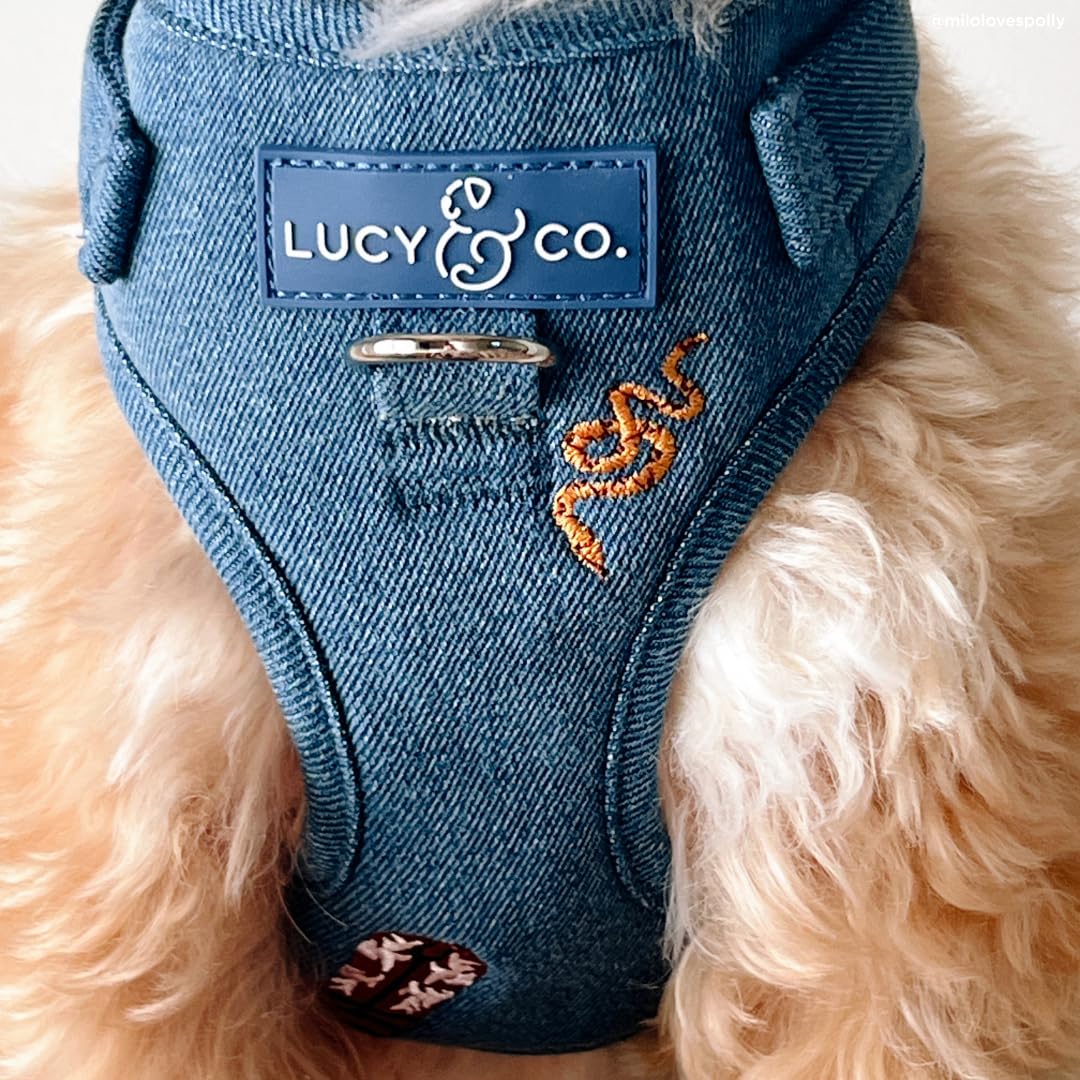 Lucy & Co. Giddy Up: tallas XS a XL para perros de todos tamaños.