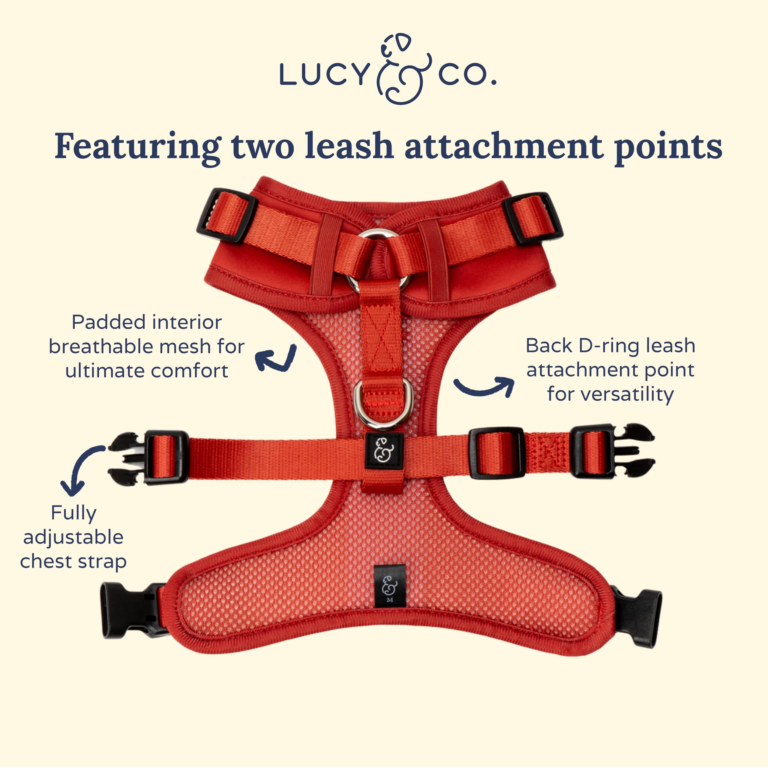Lucy y Co. Relámpago, chaleco cálido para paseos en días fríos.