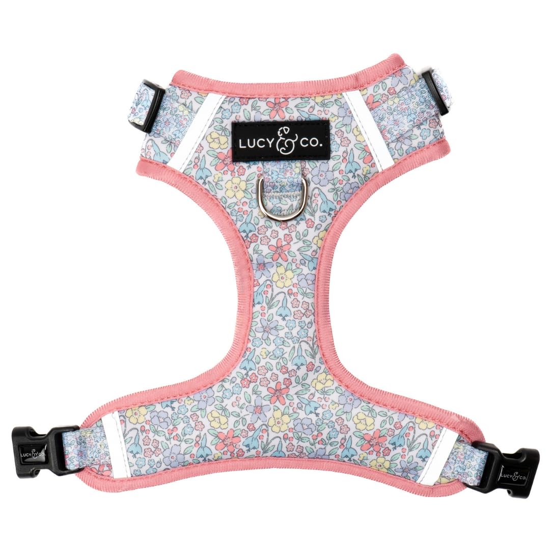 Lucy & Co. Ditsy Daydream arnés frontal ajustable para paseos sin tirones.