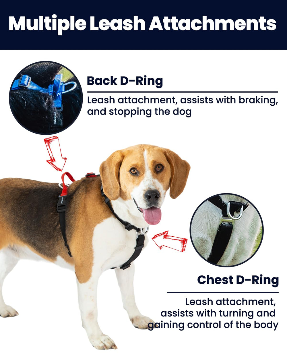 Mango de control trasero de LufeLux para guiar al perro con seguridad.