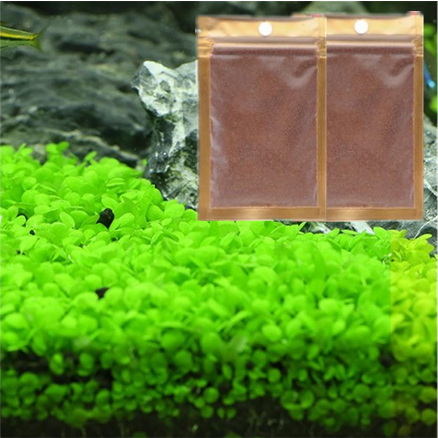 LUKAWES plantas de acuario, hoja mini, perfecto para primer plano y crecimiento rápido.