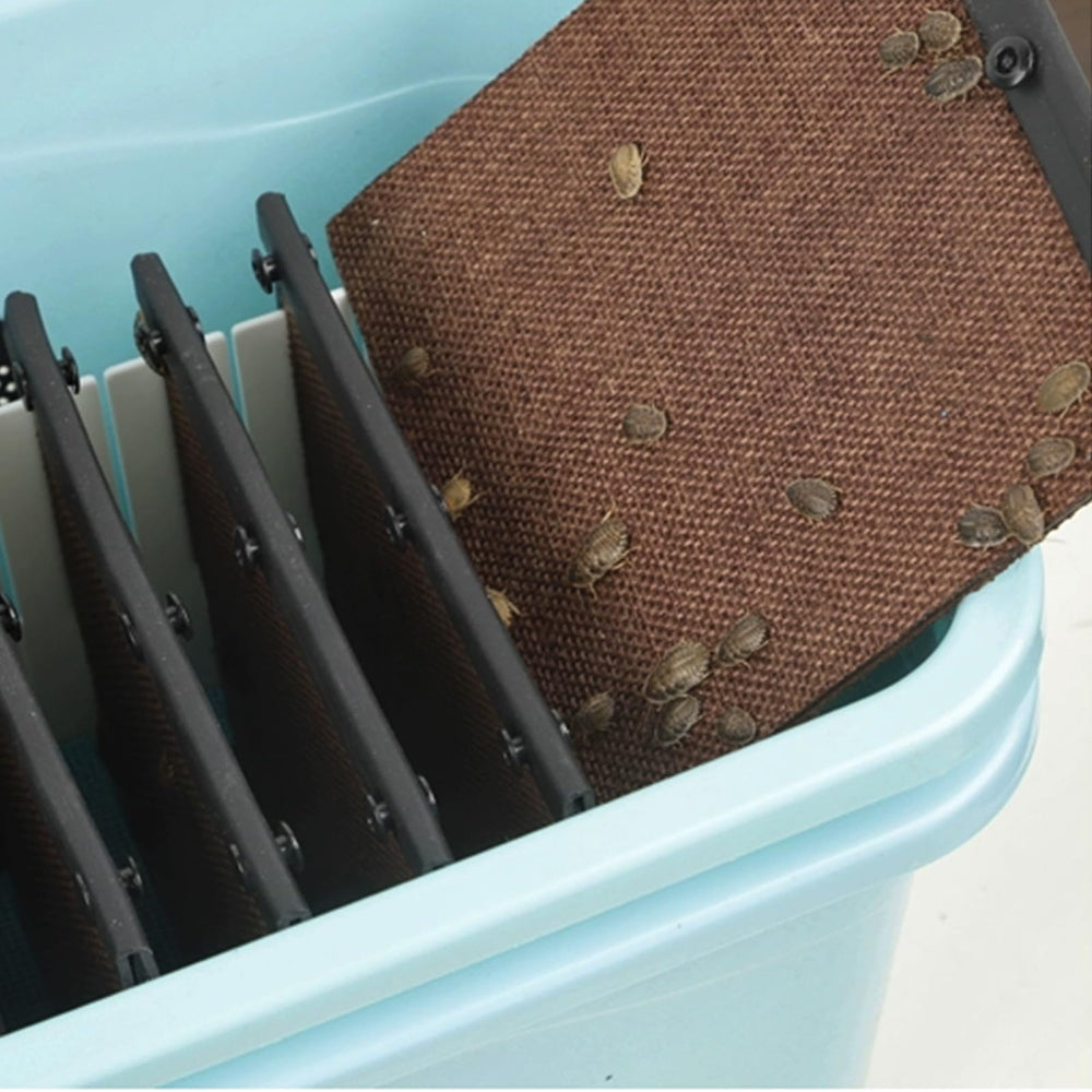 LUKHMELF Contenedor Dubia Roach, dimensiones compactas para manejo diario