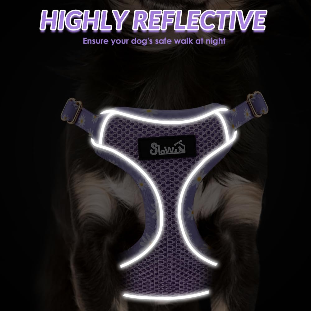 Lukovee ofrece tallas XXS–XS–S–M para ajuste cómodo.