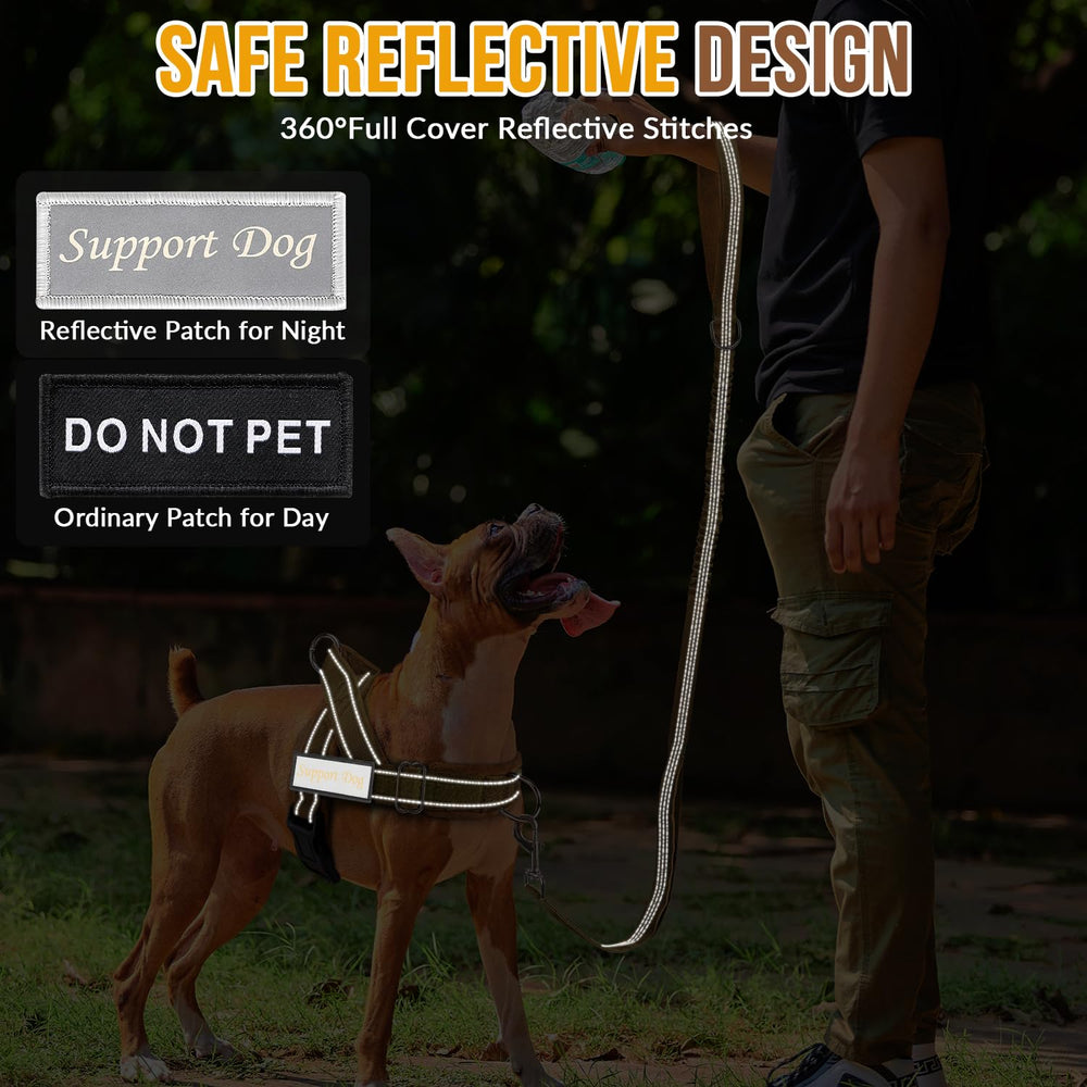 Reflectividad Lukovee para paseos seguros día y noche.