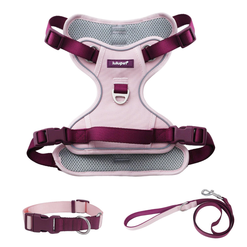 Arnés LULUPET 3 en 1 rosa, ajuste cómodo para razas pequeñas.