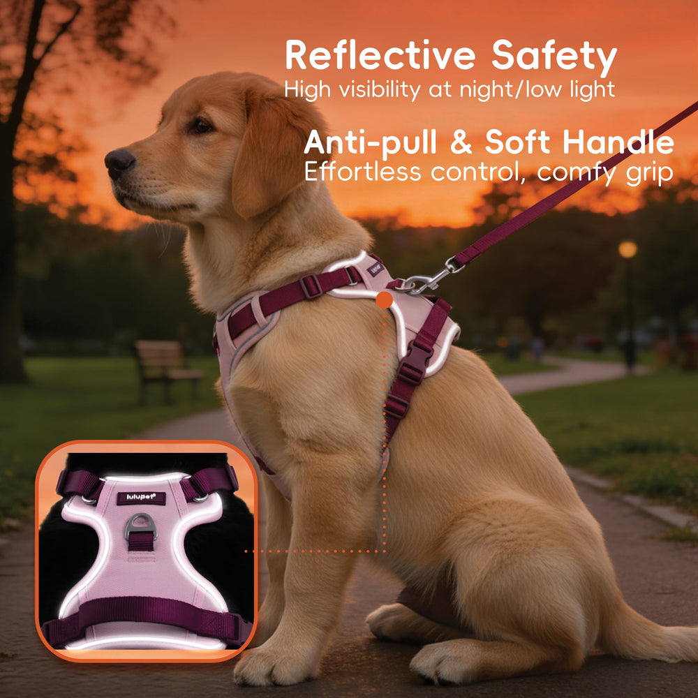 Chaleco LULUPET rosa reflectante, seguridad en caminatas vespertinas.