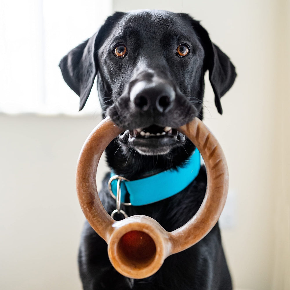 Lumabone Ring Stuffer, sabor a carne que atrae y mantiene interesado al perro.