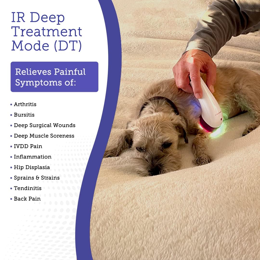 LumaSoothe cabezal de terapia para perros, uso dirigido en zonas sensibles.