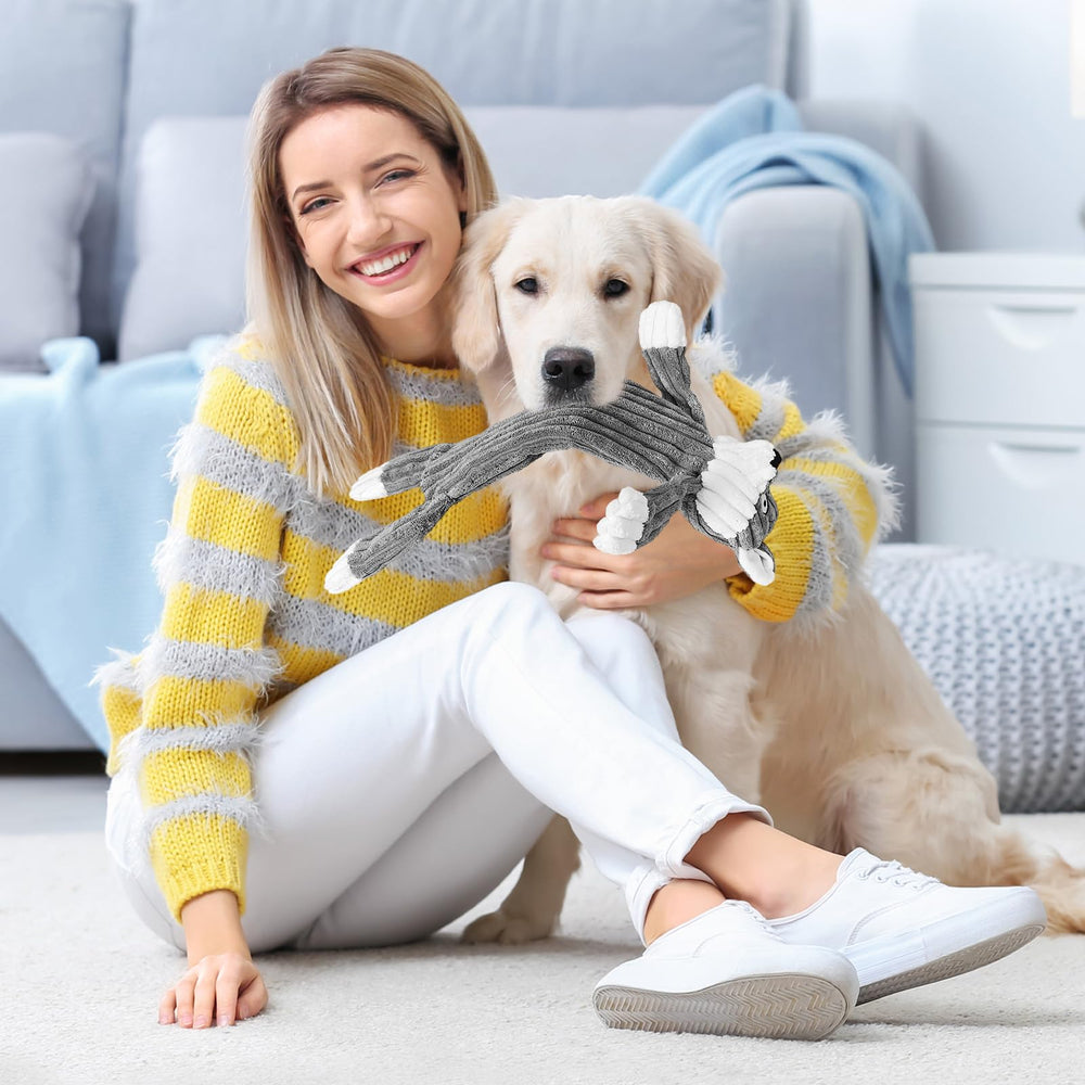 Luudoogs regalo para perro, diversión segura y estimulante.