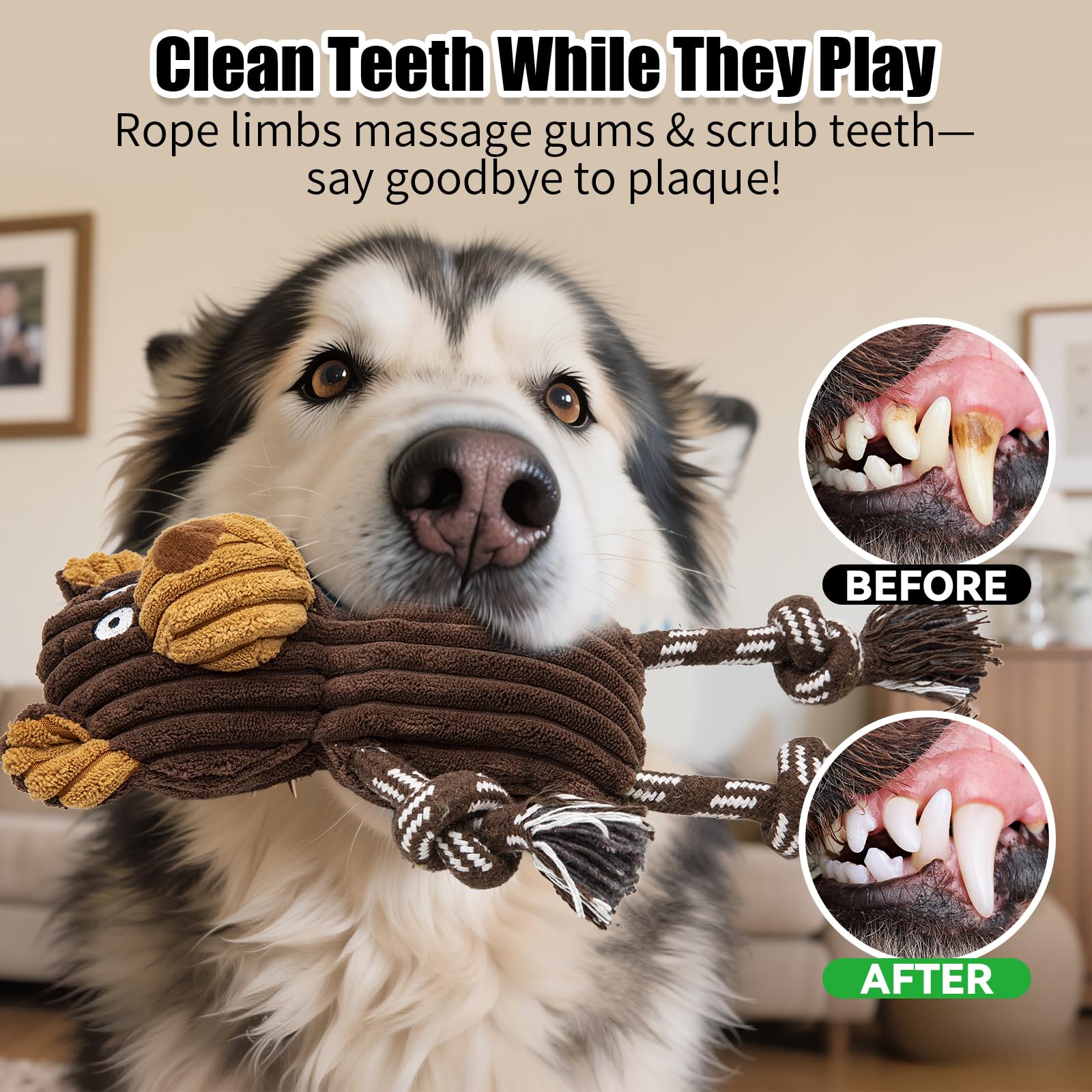 Luudoogs Juguete tira y afloja con cuerda: juego activo para perros.