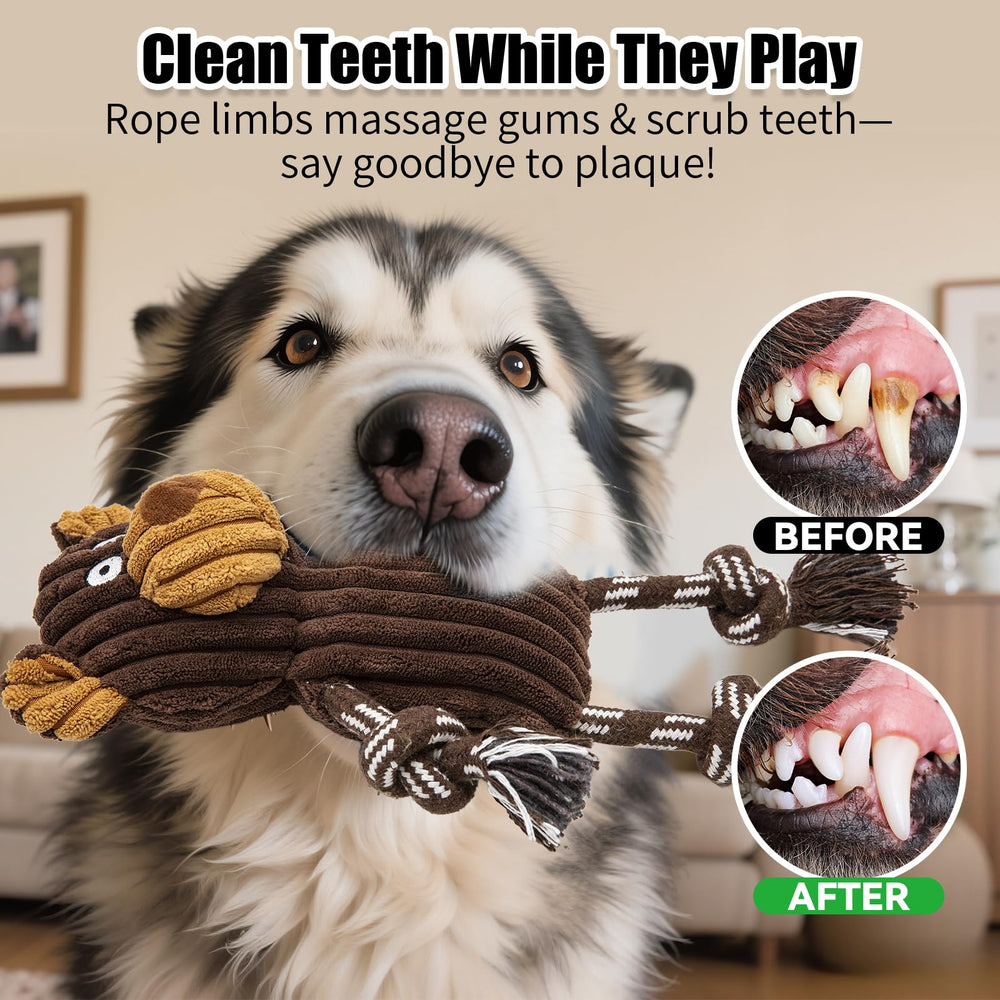 Luudoogs Juguete tira y afloja con cuerda: juego activo para perros.