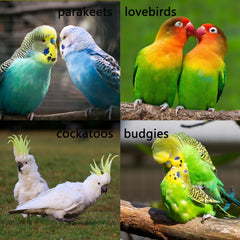 LWINGFLYER dos ganchos facilitan colgarla sin herramientas.