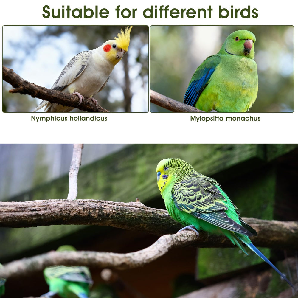 Pañal LXUEJIE para aves para viajes y visitas al veterinario.